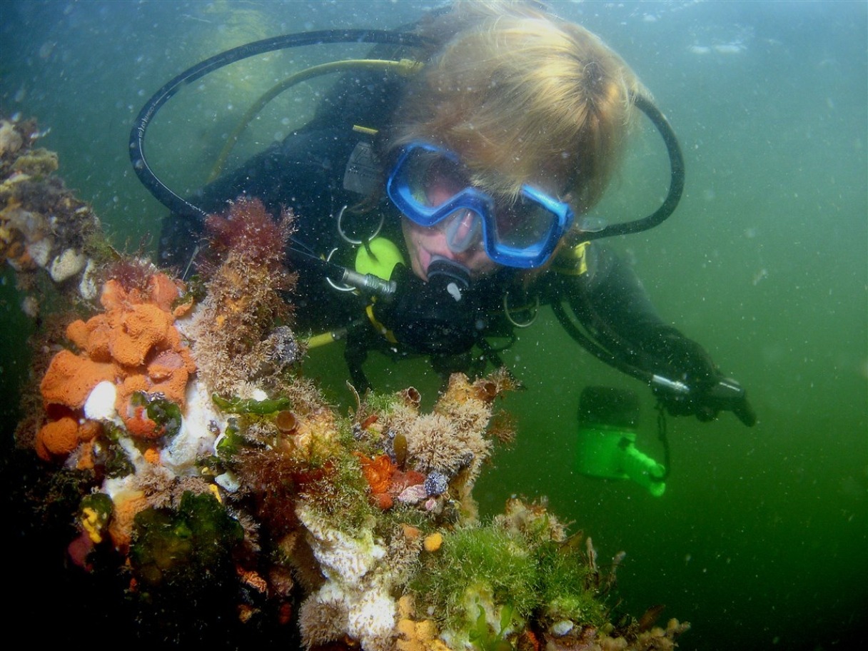 onderwater-natuur-ontdekken