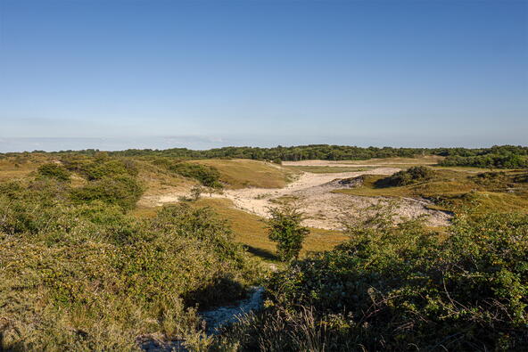 Afwisseling tussen duin en grasland en bos in natuurgebied Oranjezon