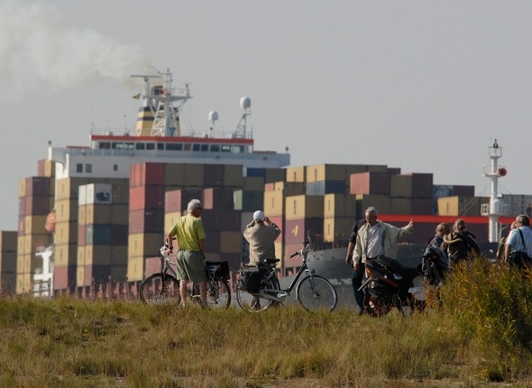 Over de Westerschelde vaart een enorm containerschip. Toeschouwers met fiets op de dijk bekijken het schip.