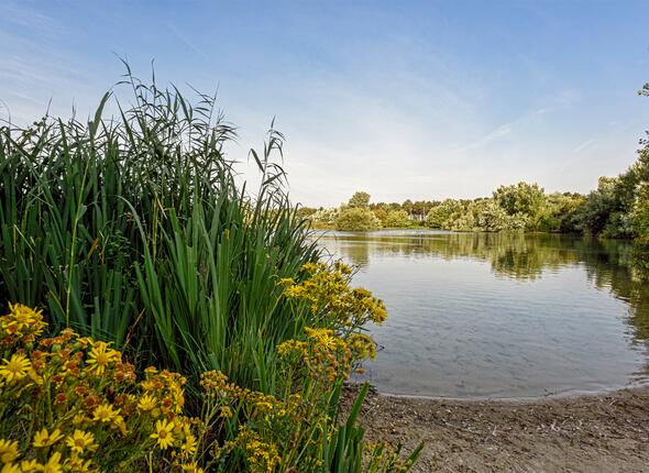 Waterplas in Natura 2000-gebied De Kop van Schouwen
