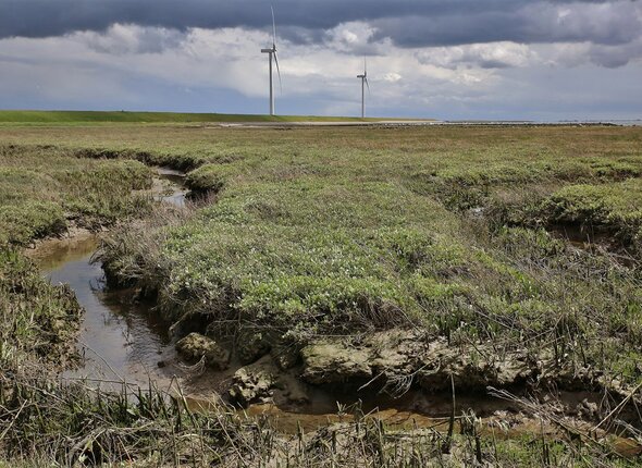 Geulen in de schorren bij de Oosterschelde. 2 windmolens op de achtergrond