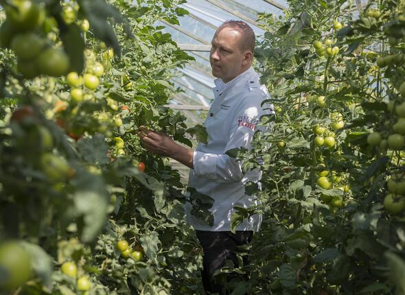 Een man aan het werk in de tomatenkassen