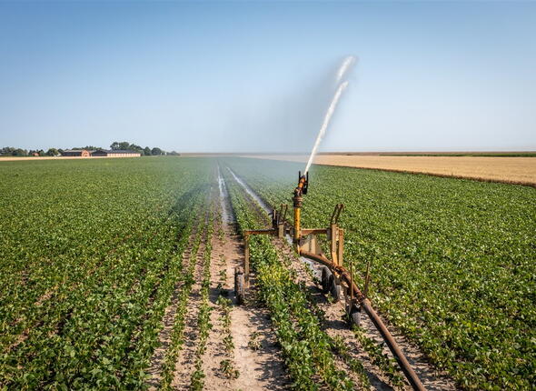 Het land wordt besproeid met water