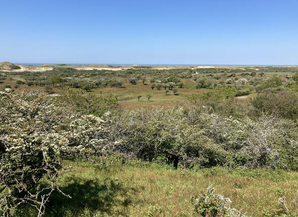 Natura 2000-gebied Manteling van Walcheren
