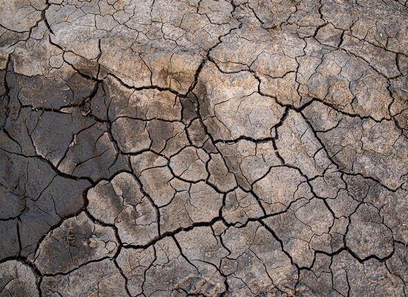 Droge grond