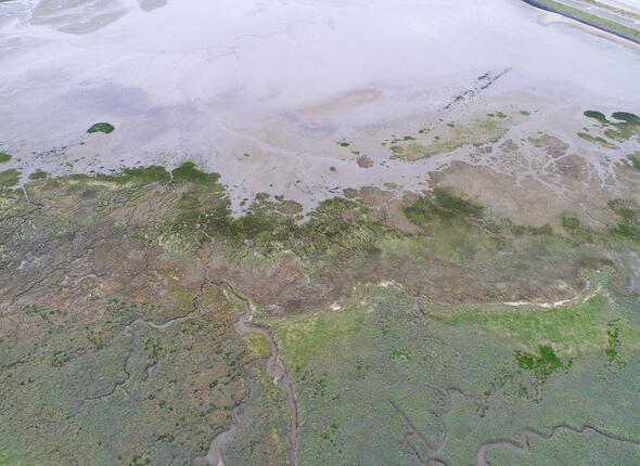 Schorer en welzinge polder