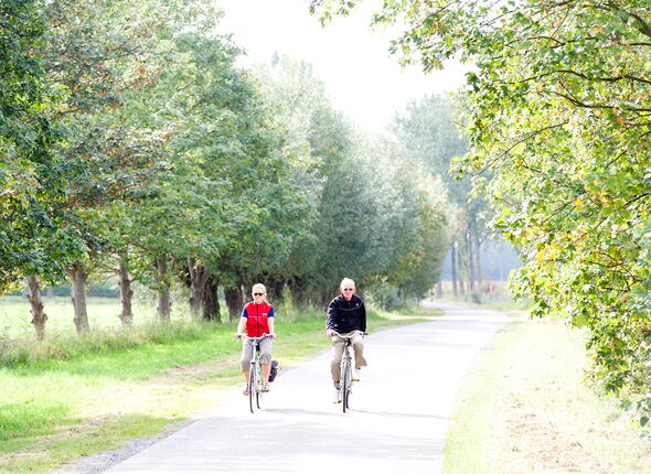 Fietsen langs bomenrijen over de Smokkelroute
