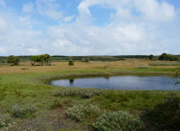 subsidie natuurbeheer