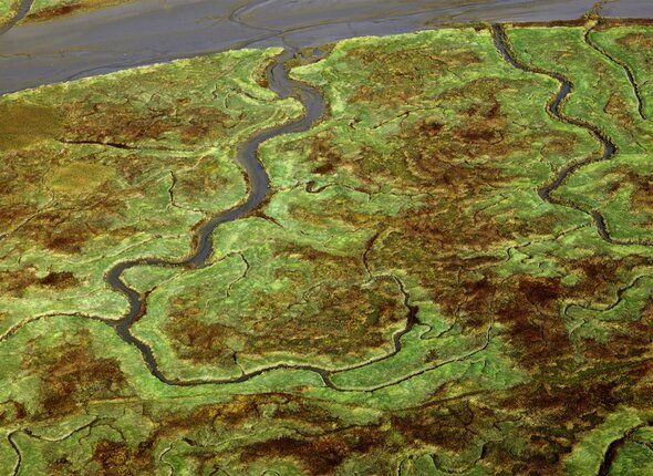 Land van Saeftinghe vanuit de lucht gezien