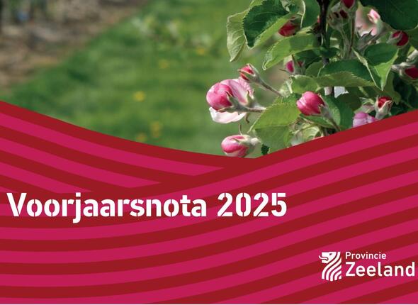 Afbeelding van de voorpagina van de Voorjaarsnota 2025