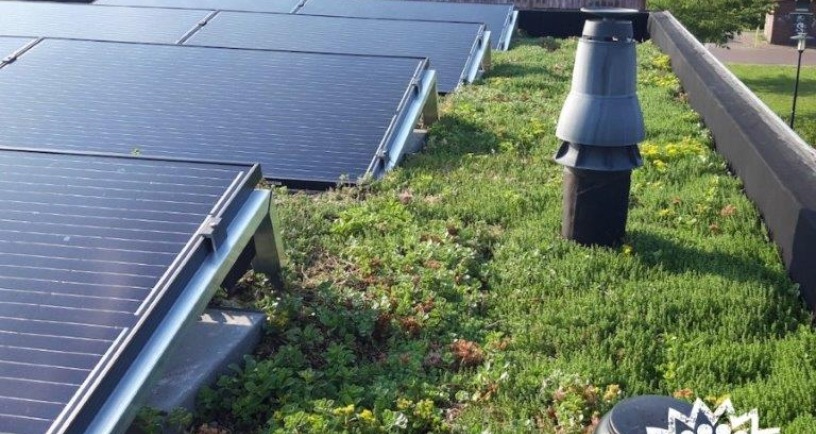 Groen dak met zonnepanelen. Zeeland verandert mee