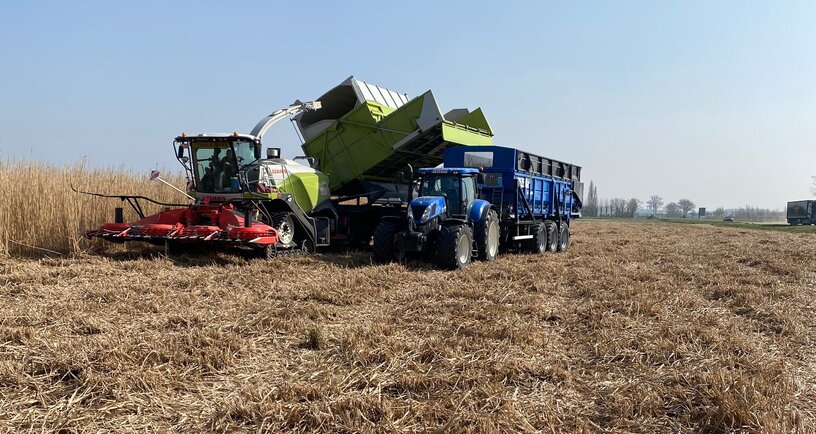 Oogstmachine van Cradle Cops B.V. oogst olifantgras