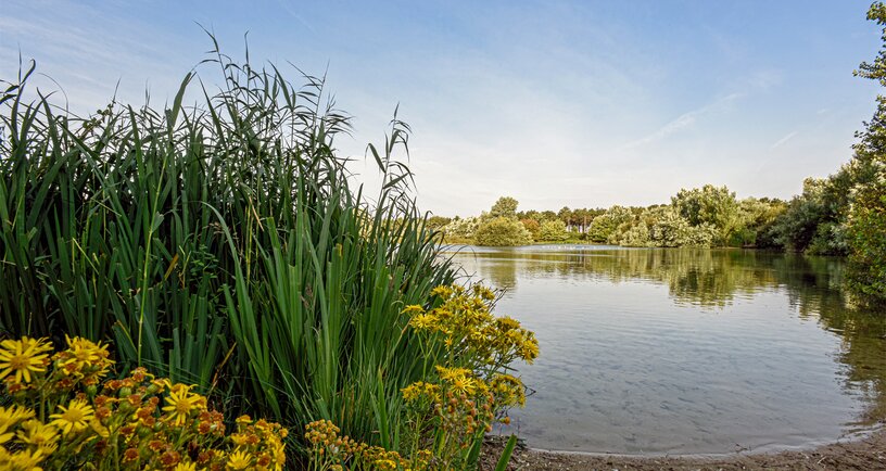 Waterplas in Natura 2000-gebied De Kop van Schouwen