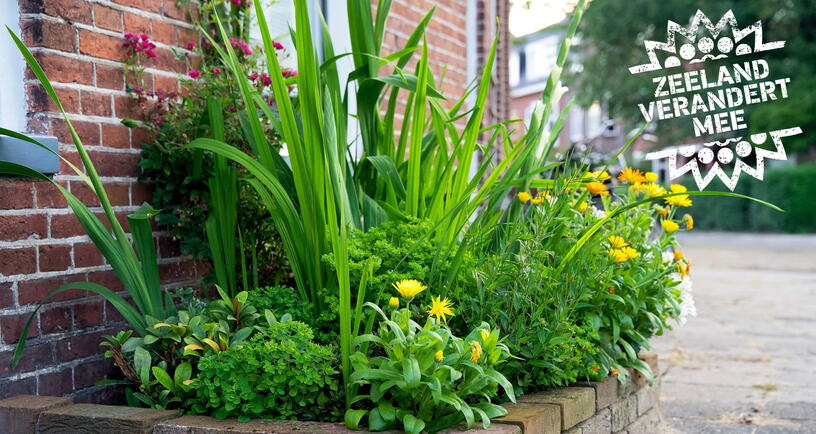 geveltuin met bloemetjes