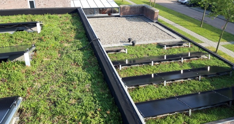 plat dak met gras en zonnepanelen