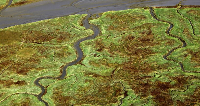 Land van Saeftinghe vanuit de lucht gezien