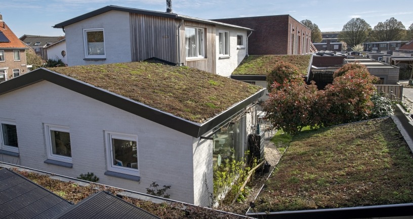 Zicht van bovenaf op twee groene daken van een woonhuis