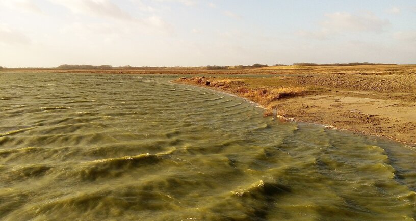Waterdunen wind doet water klotsen in de geulen van Waterdunen