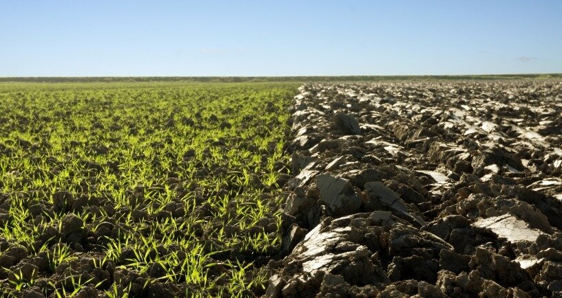 Gras en geploegde grond