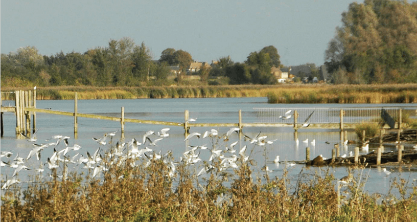 Canisvliet, Groote Gat en Vogelkreek
