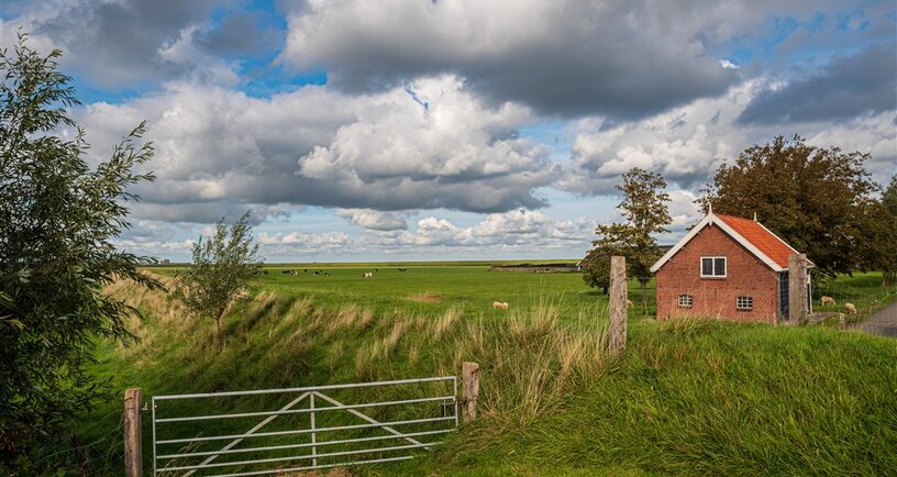 Polderlandschap Kruiningen