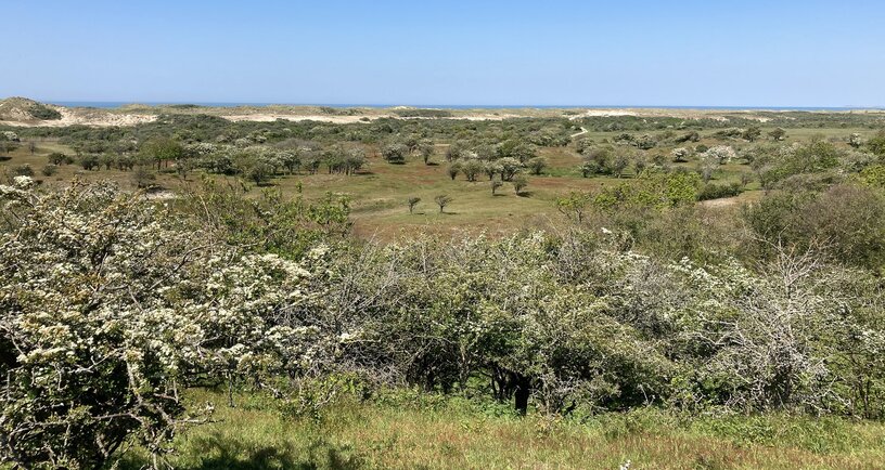 Natura 2000-gebied Manteling van Walcheren
