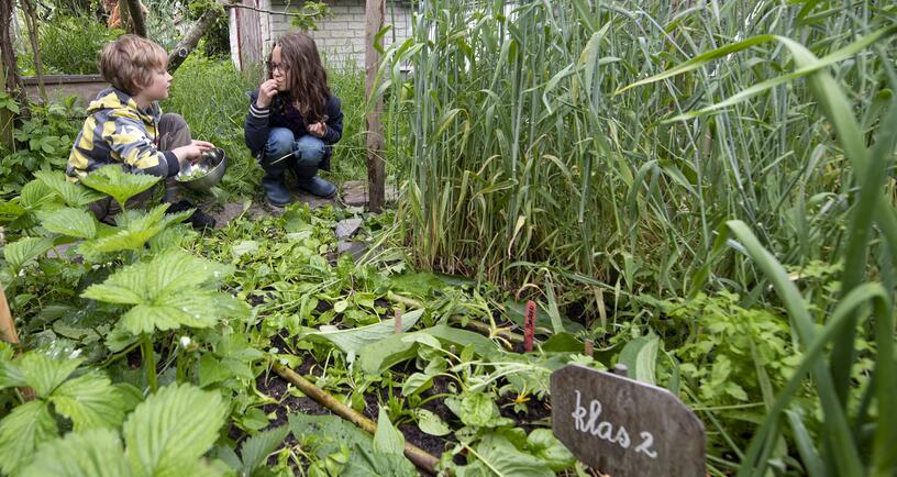 Kinderen op hun groene schoolplein