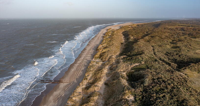 Luchtfoto Oranjezon: zee, strand en duinen