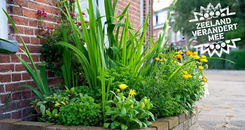 Groene tuin