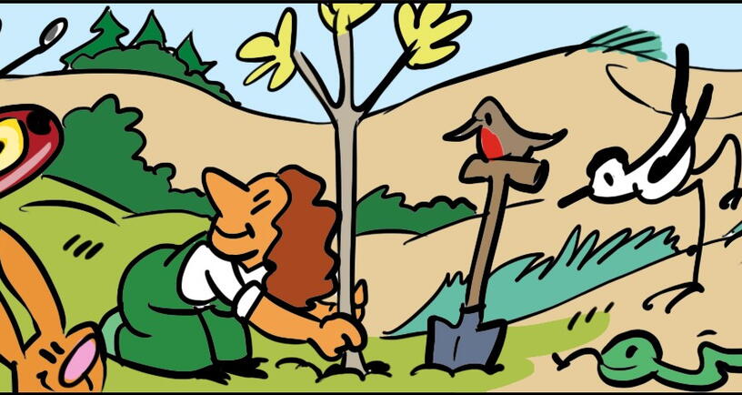 Eén van de Zeeuwse natuurgebieden, getekend in stripvorm