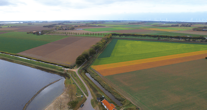 Agrarisch landschap bij het Veerse Meer met groenstroken.