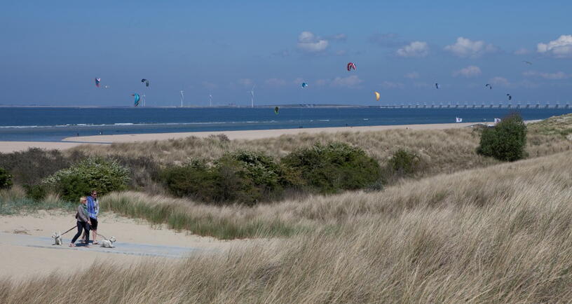 Wandelen in de duinen van Vrouwenpolder