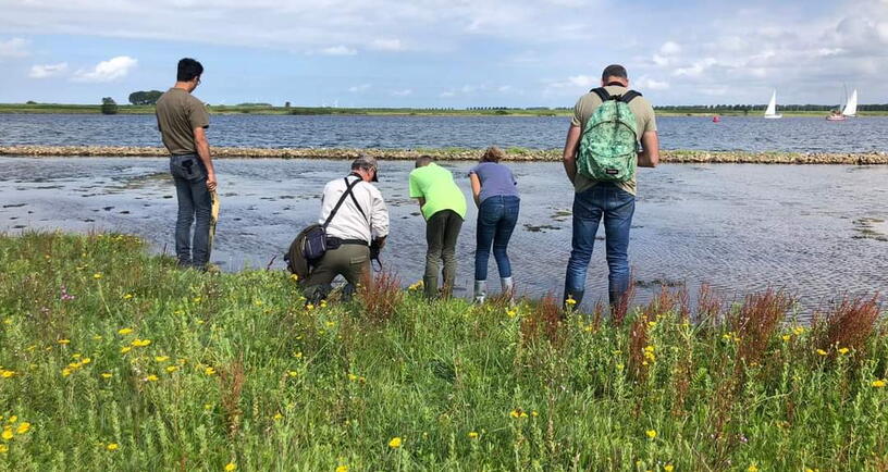 Bij de rand van het water Veerse Meer tijden excursie bij de Middelplaten.