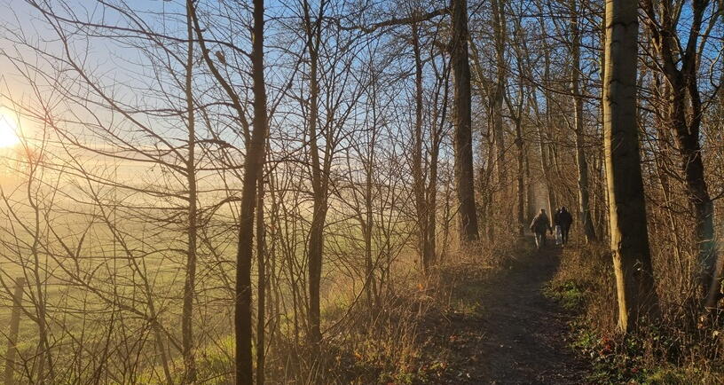 Wandelen bij het Veerse bos bij het Veerse Meer.