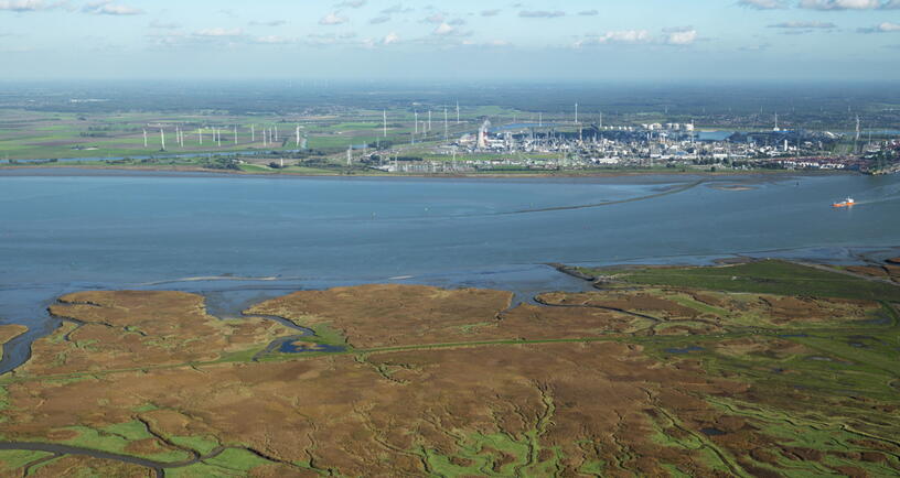 De Westerschelde