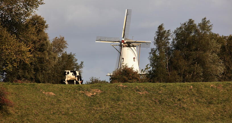Molen in Veere