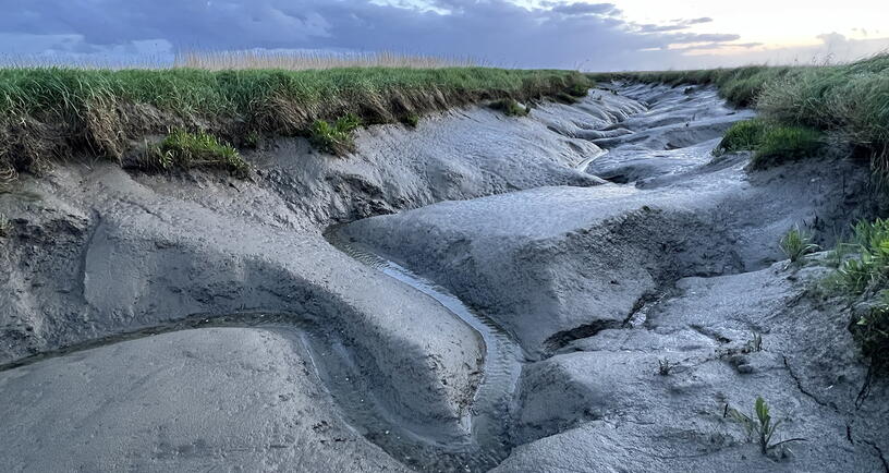 Geul in Seaftinghe