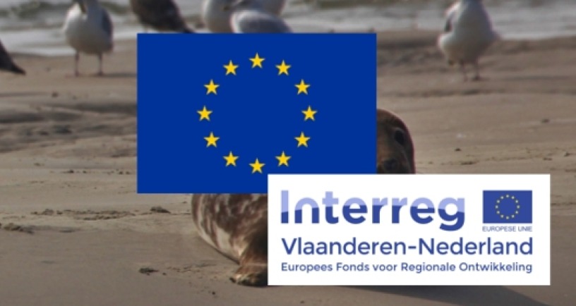 Zeehond op zandplaat, in combinatie met EU en Interreg logo
