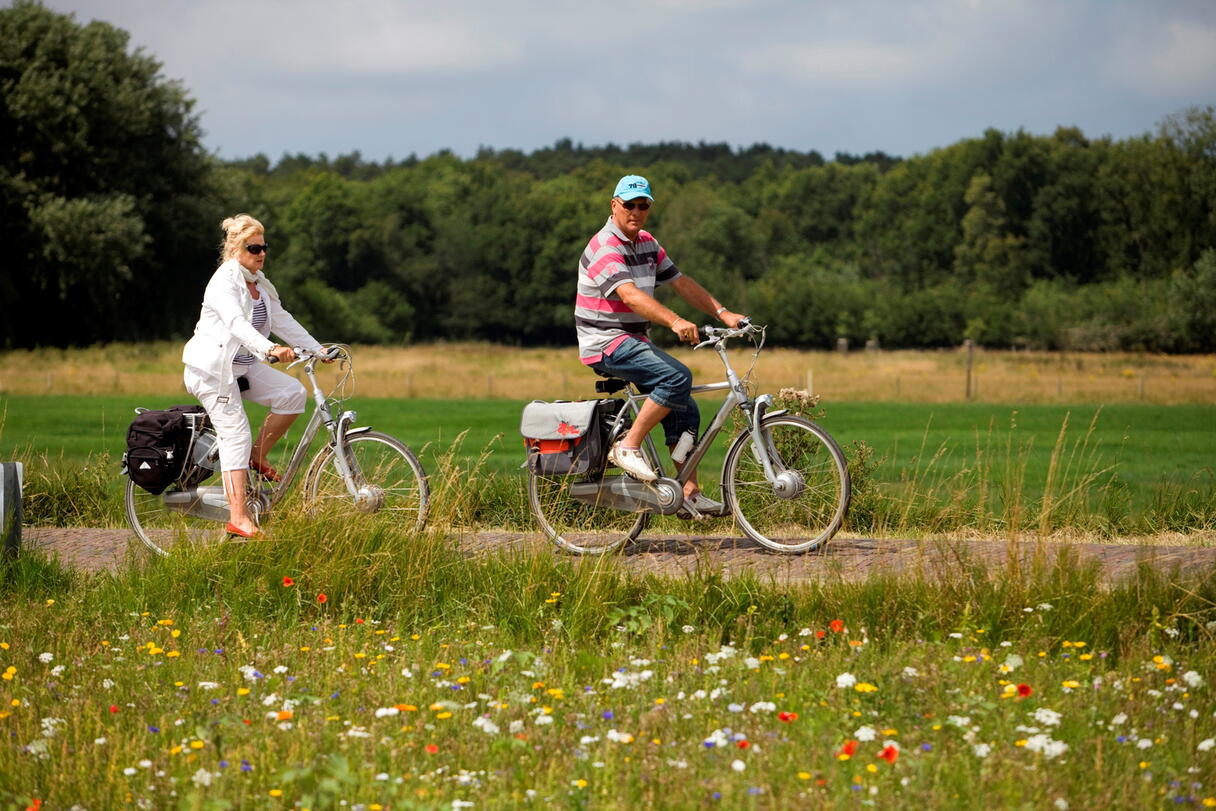 fietsers in de natuur