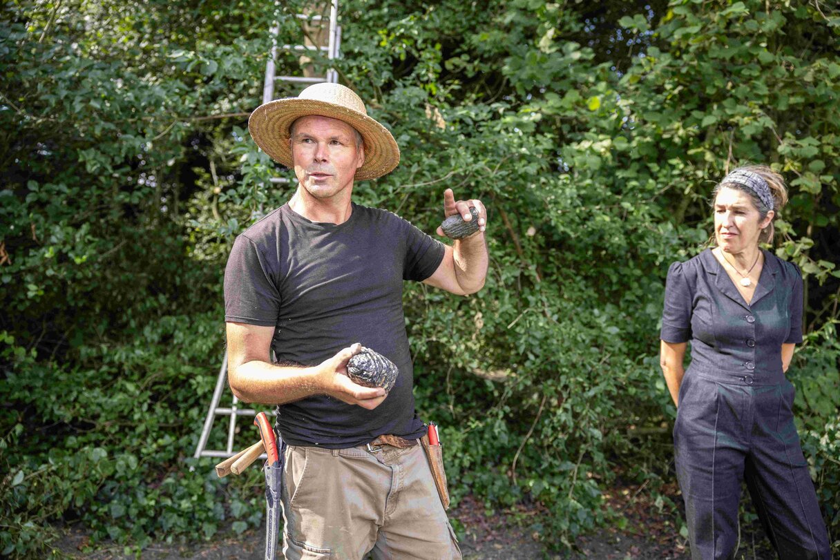 Experimenteel Groenkunstproject zomersnoei Creative City Boost