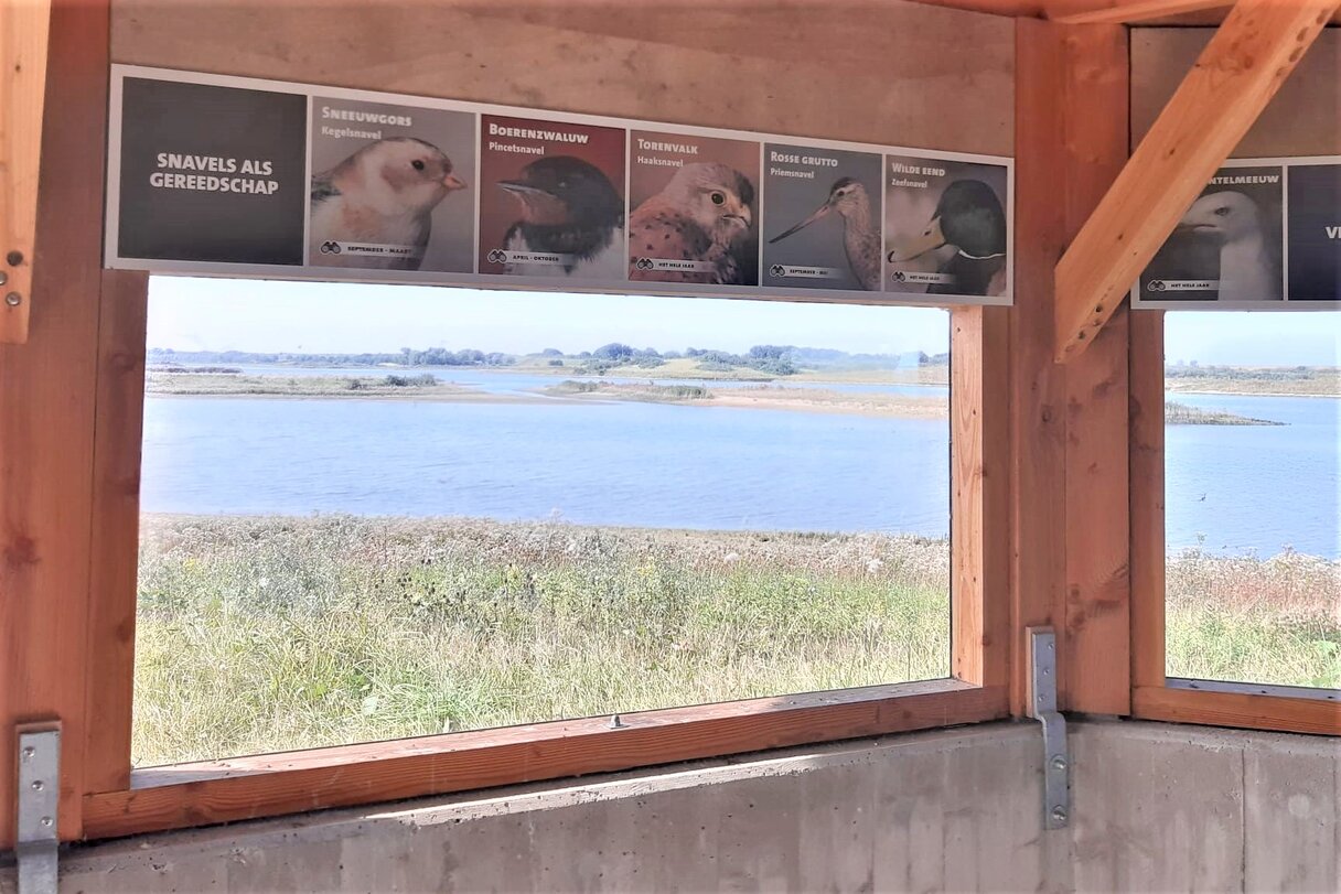 Waterdunen Koloniehut uitzicht vogeleilanden