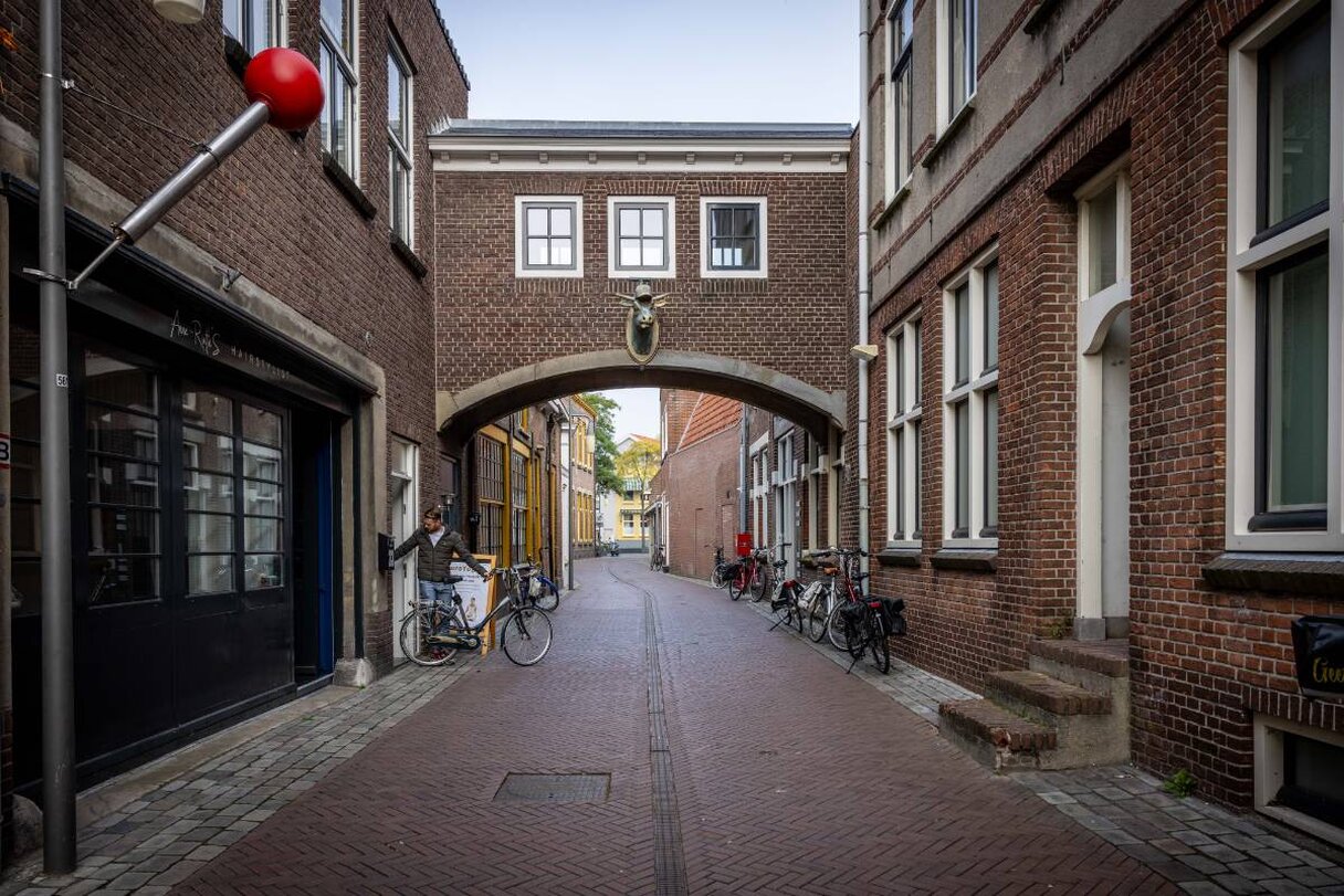 straat met huizen en dierenkop