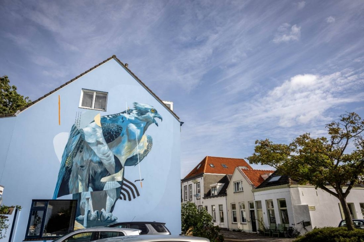 graffiti arend op huis Vlissingen
