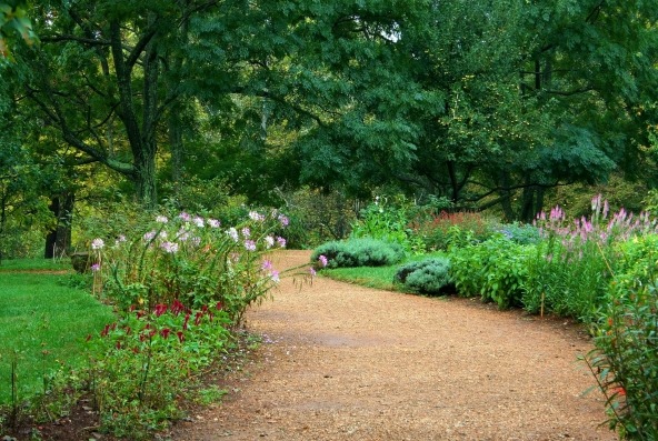 Een tuinpad van grint met aan weerszijden bloemen en gras