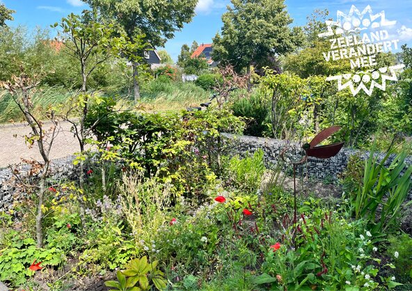 De bloeiende voortuin van Silvia Lipman uit West-Souburg