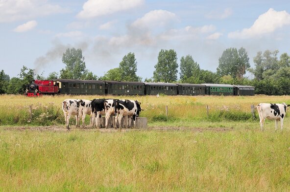 Stoomtram Goes-Borsele