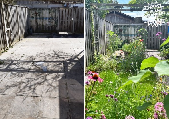 Een foto van een betegelde tuin met daarnaast een foto van diezelfde tuin, maar nu vol groen en bloemen