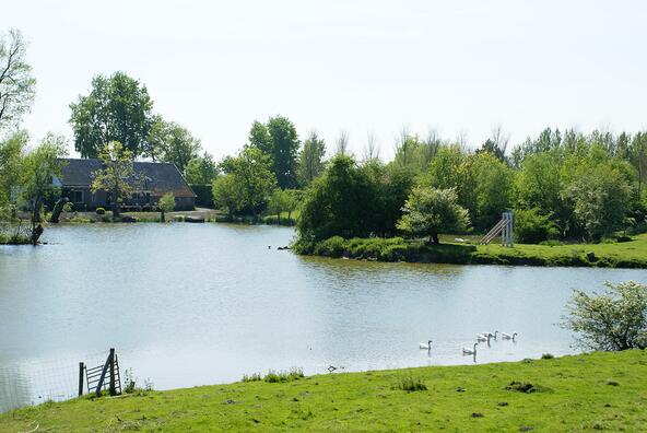 De 'Brilletjes' aan de Brilletjesdijk in de Zak van Zuid-Beveland